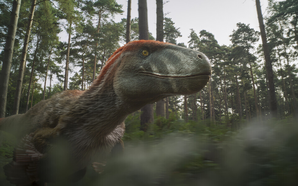 Dinosauruste radadel ep3