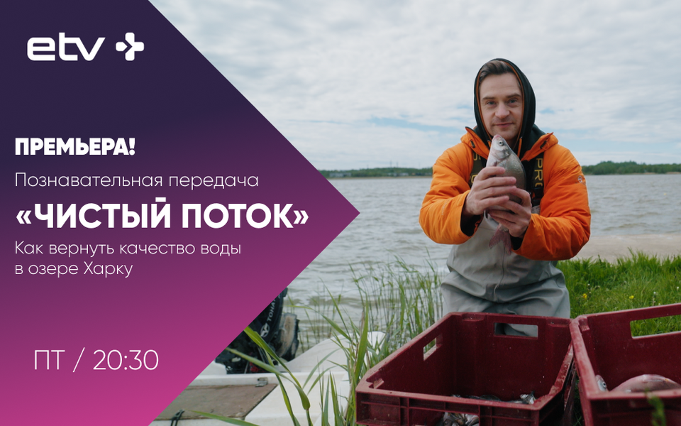 баннеры.