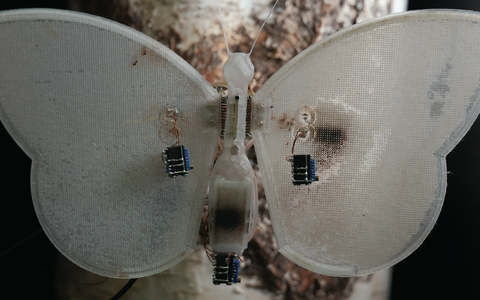 Eesti teadlaste loodud robotliblikas.