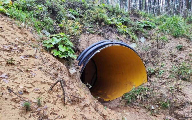Baltic Defense Line bunkers installed near Estonia's Narva