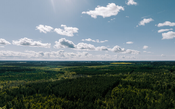Estonia's land value up a third in four years to €44.1 billion