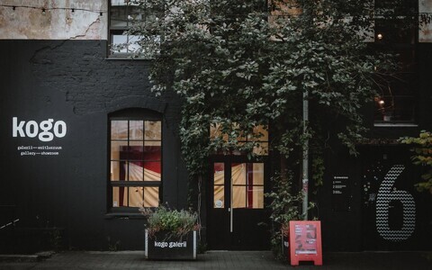 Kogo galerii